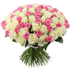 Букет «101 біло рожева троянда»