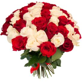Букет " 51 червоно-білих троянд"