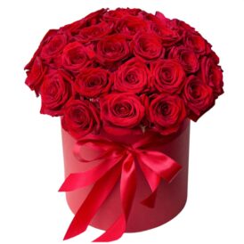 Коробка з 35 червоних троянд